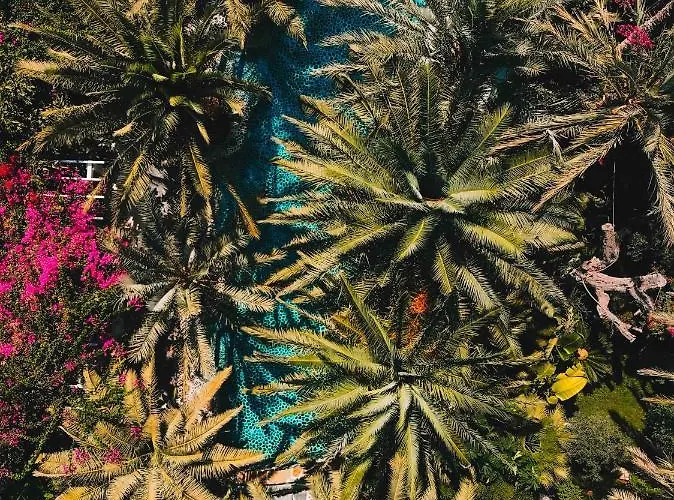 Flamingo Hotel & Spa - Pet Friendly